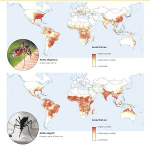 Mosquito Control Near Me