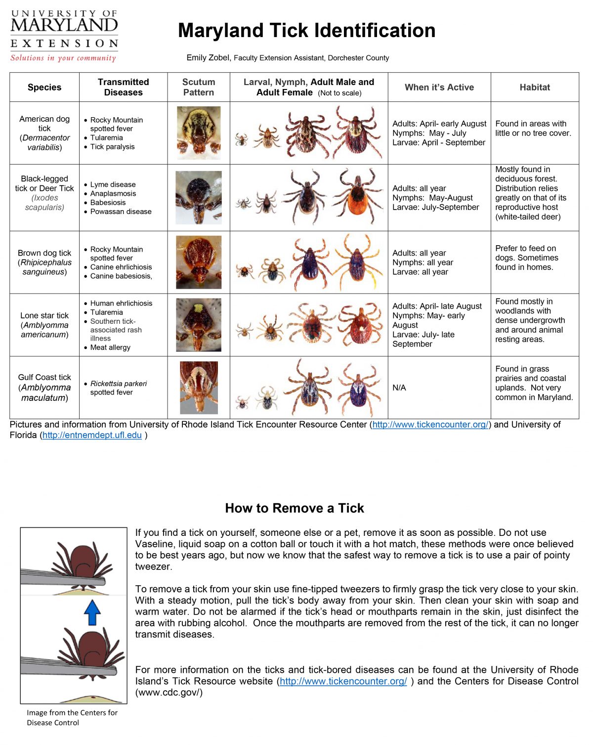 Tick Insects Label Mosquito Musketeers - Your Neighborhood Mosquito Control