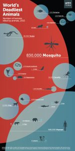 Mosquito Control Near Me
